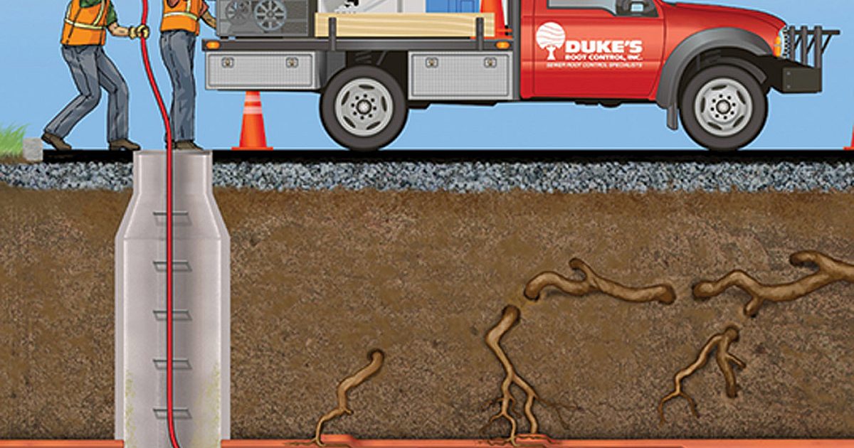 Root Control Chemicals - Duke’s Root Control Razorooter II | Pumper