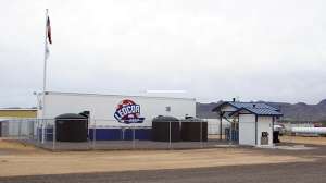 Kingman 1