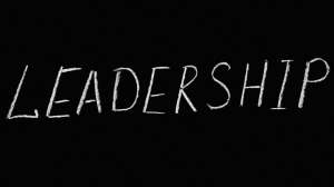 Leadership executive coaching