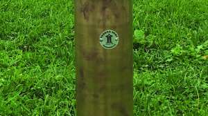 Pagoda vent case study