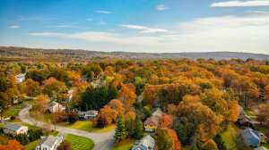 Pexels dave frisch 731685 1575939