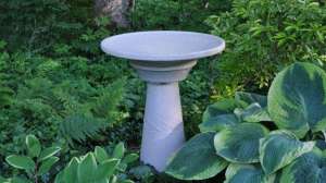 The dirty bird large