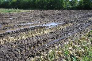 Soil installation tips