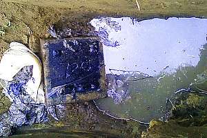 Between the lines piper 1