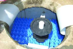 Biomicrobics case study