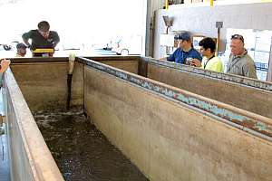 Consolidated Fabricators Box