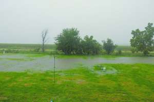 Flooded lawn