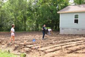 Habitat Senior Designer