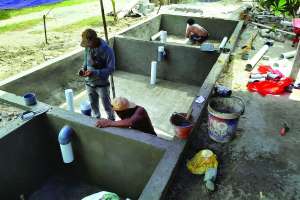 Engineering for the Environment