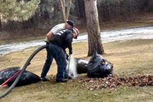 Jeff Tiemann And Art Betker