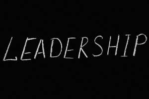 Leadership executive coaching