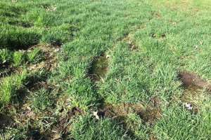 Mound leaking 2