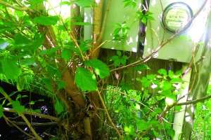 Panel With A Problem