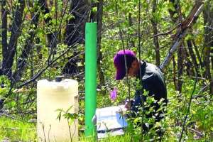 Per test loading rates