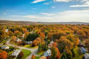 Pexels dave frisch 731685 1575939