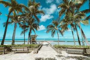 Pexels jess vide 4327716