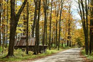 Pexels william alexander 52166 189243