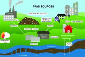 Pfas Septic Systems