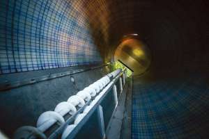 Pumper Greenway Waste Solutions 11