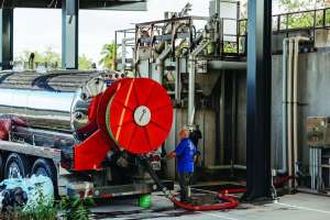 A Nice Niche in Paradise