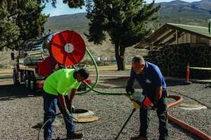 A Nice Niche in Paradise