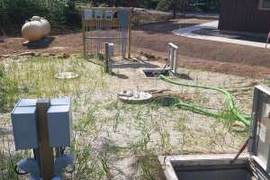 Septic care hydrogen sulfide