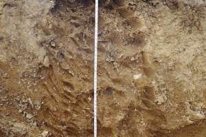 Soil evaluation heger