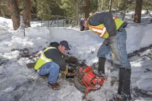 Staying busy in winter