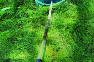 Tank Profile Emulsified