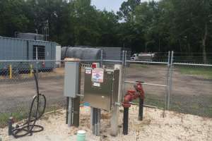 Yard Pictures 2015 13